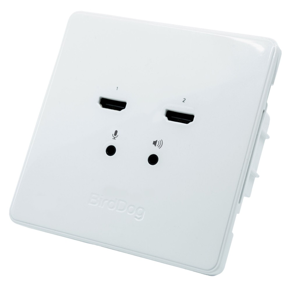 BirdDog Wallplate Dual Input