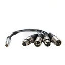ATOMOS XLR Breakout Cable (in / out)